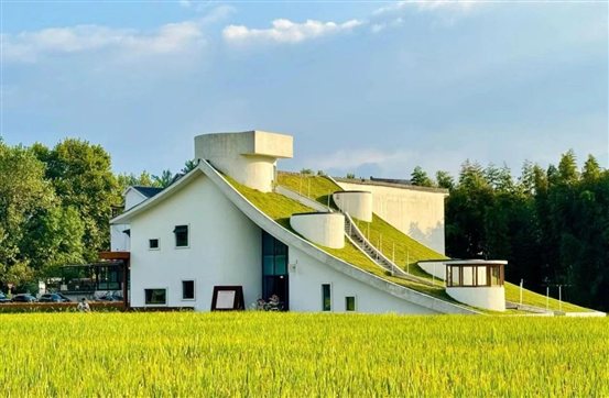 微信图片_20241212092155