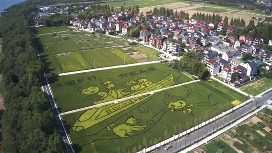 微信图片_20241211165637